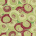 PARASOLS_b 